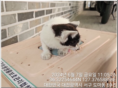 종료(자연사) 한국…